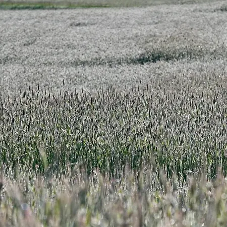 Mas De Chassole Les De L'aurore Casa vacanze *
