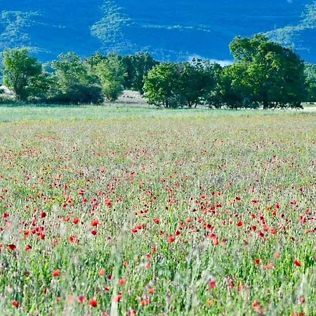 Mas De Chassole Les De L'aurore Semesterbostad Ongles