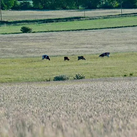 Mas De Chassole Les De L'aurore * Ongles
