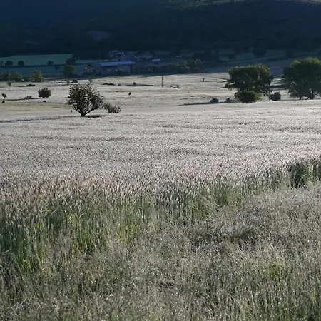 Mas De Chassole Les De L'aurore Ongles