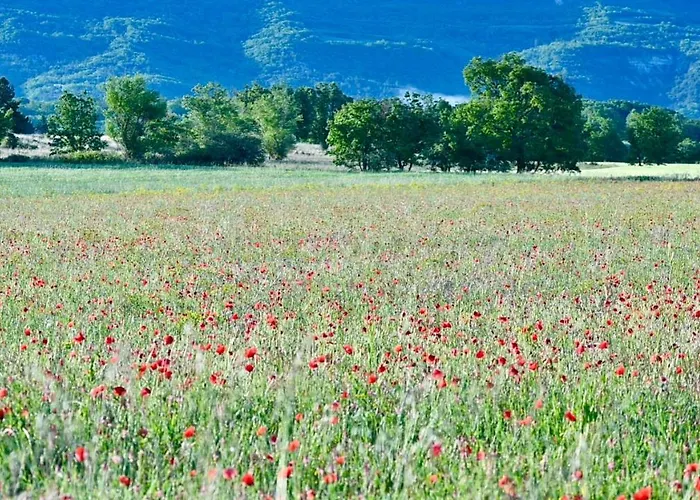 Mas De Chassole Les De L'aurore Holiday home Ongles